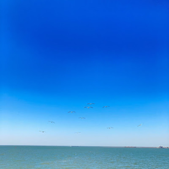 Meet your Posher, Juliet - Picture 1 of 1